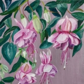 Callophrys et Fuchsia