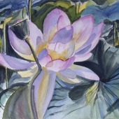 Fleur de Lotus