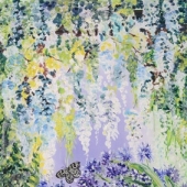 Glycine et Papillon