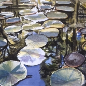 Jardins Pamplemousse