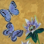 Large Blue et Fleur de Passion