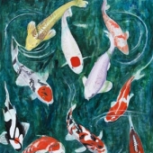 Les Carpes Koï