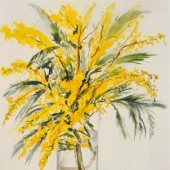 Les Mimosas