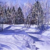 Paysage Canadien