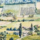 Paysage de Vignoble en Italie