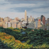 Vue sur Central Park